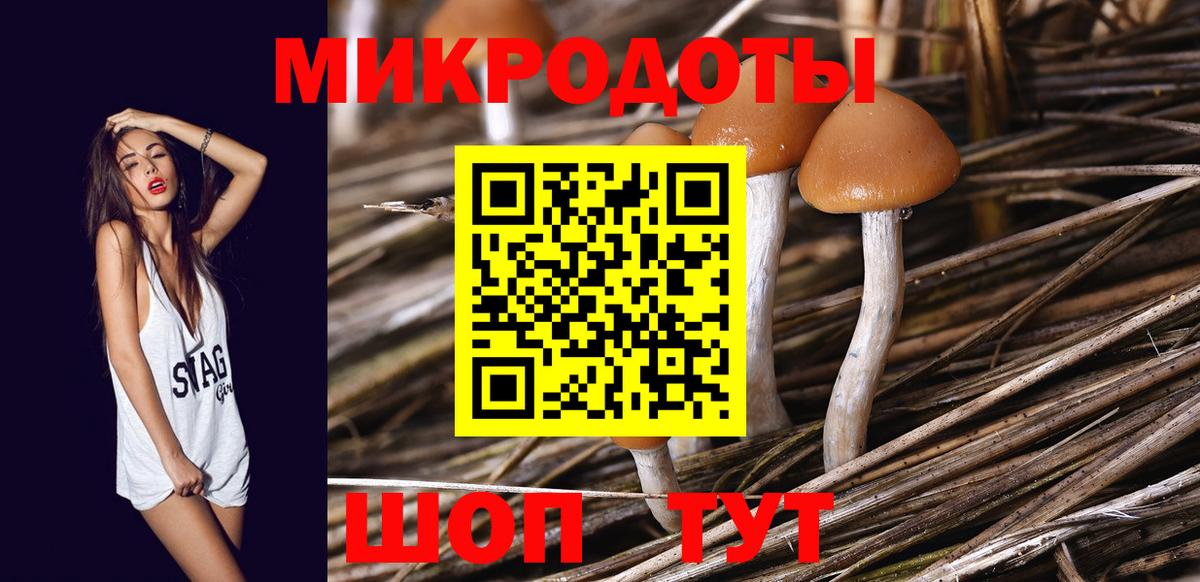 Псилоцибиновые грибы Magic Shrooms  Вход с VPN  Кузнецк 